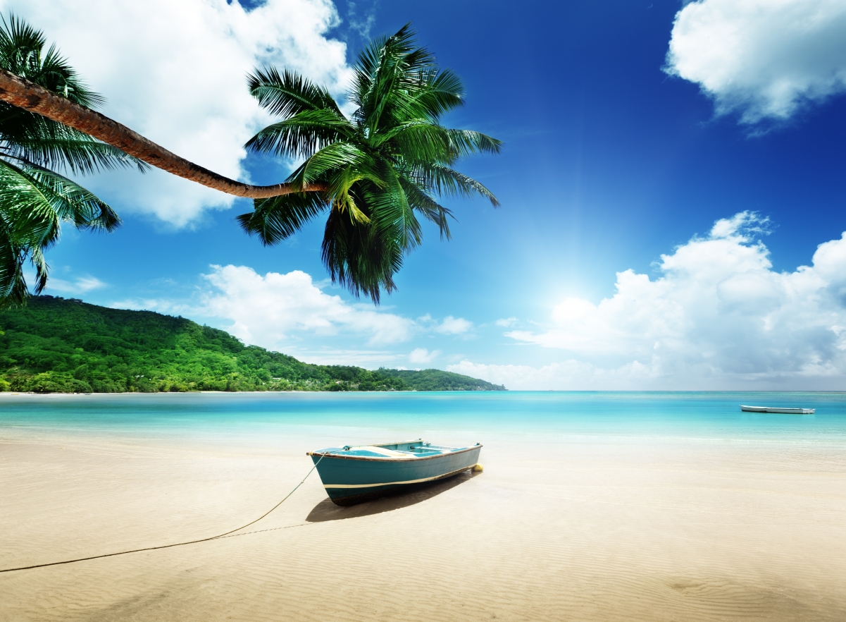 阳光 热带 夏天 棕榈树 沙滩 大海 沙滩 大海 海岸 岛屿 5K风景壁纸