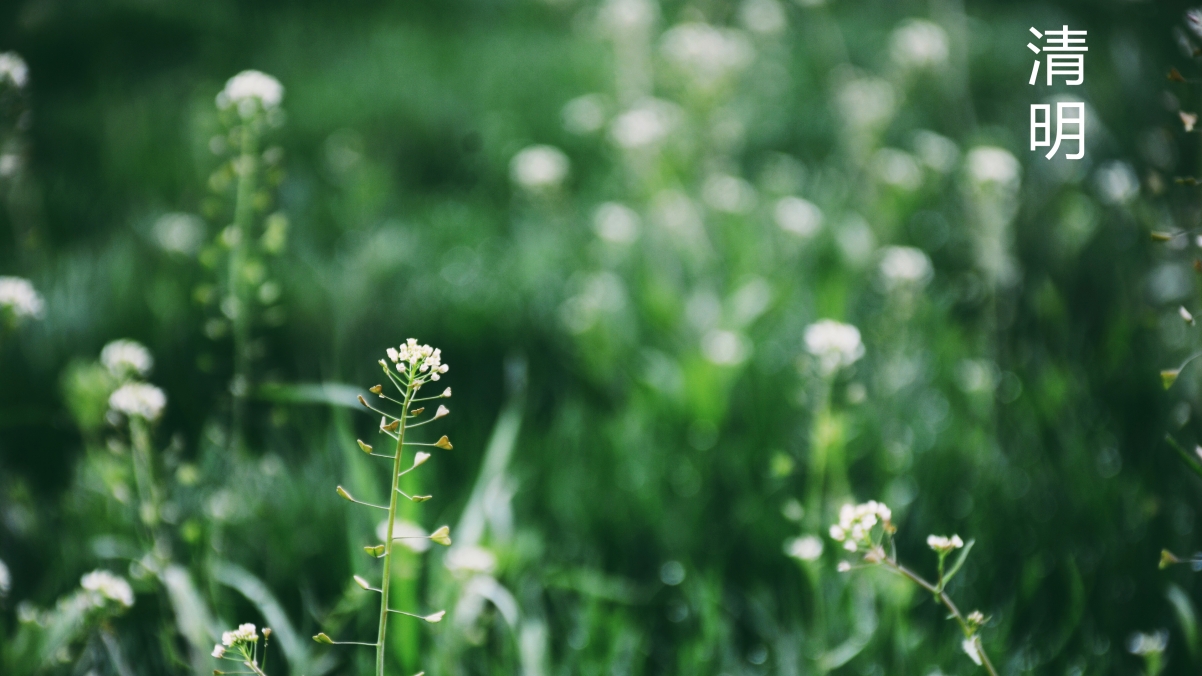 2020清明节4K超清壁纸，高清背景图片，3840x2160分辨率，免费下载