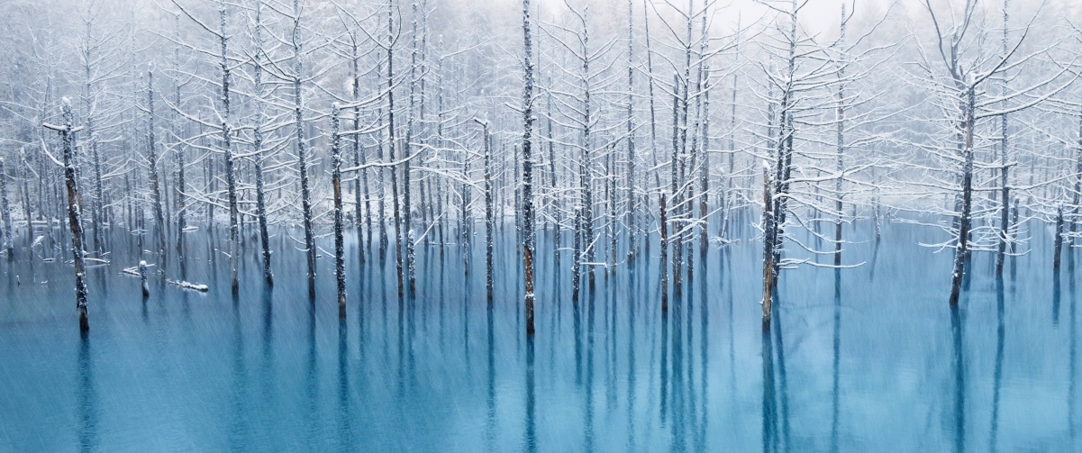 冬天树林风景3440x1440壁纸