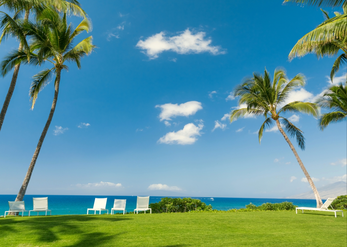 天空,海洋,棕榈树,太阳椅,椅子,草坪,4K风景壁纸