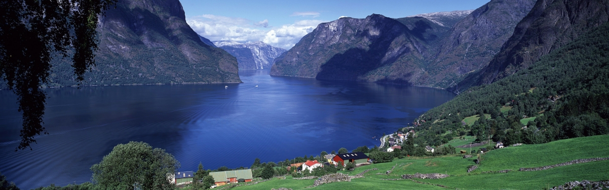 美丽的自然风光挪威全景图片