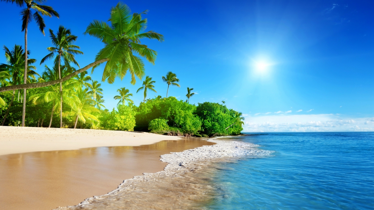 蔚蓝的大海,天空,椰树,海滩,海边风景4k壁纸3840x2160
