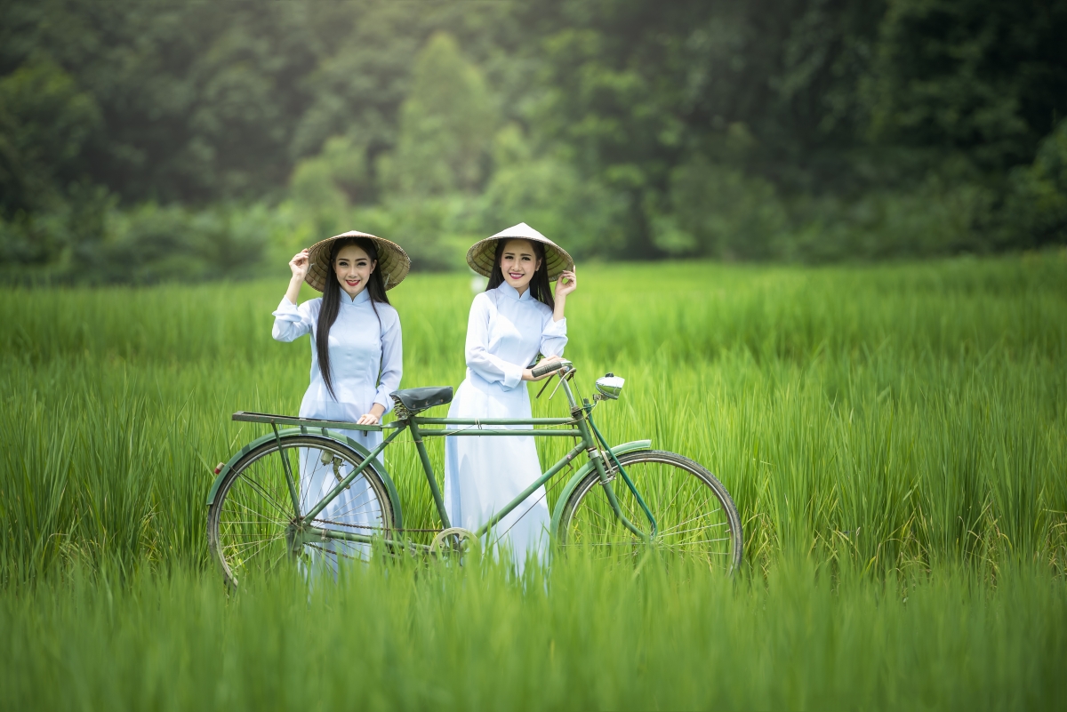 自行车 女人 绿色种植园 帽子 斗笠 农村 文化 8K美女壁纸