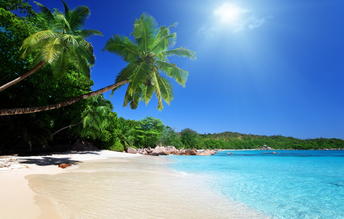 海边自然风景天空云沙滩椰树棕榈树高清海岸图片