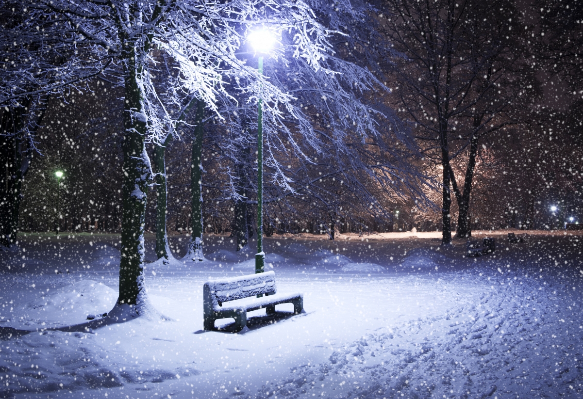 公园 晚上 雪 灯 冬季 树木 5K风景壁纸