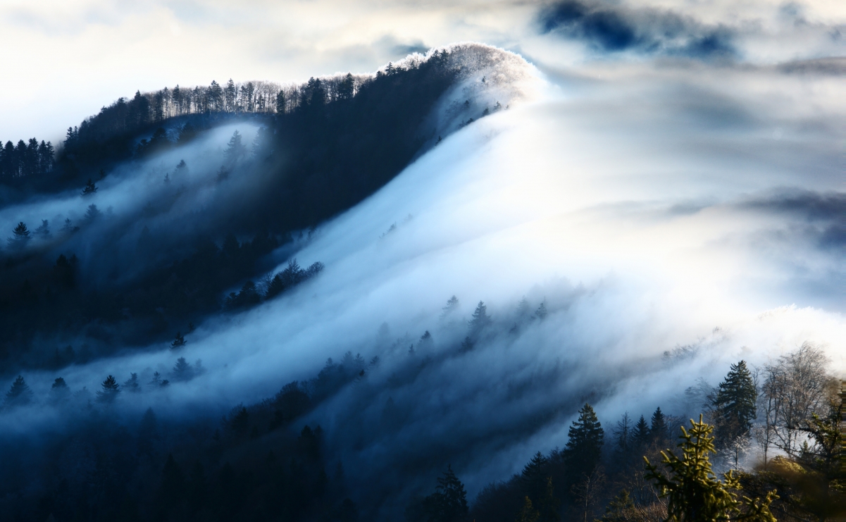 山顶雾风光图片