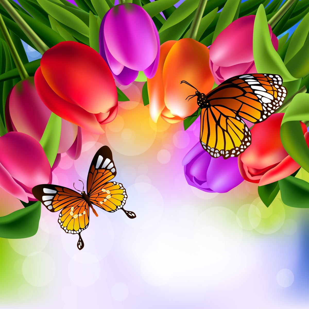 郁金香花,蝴蝶,适量,素描,6k背景图片