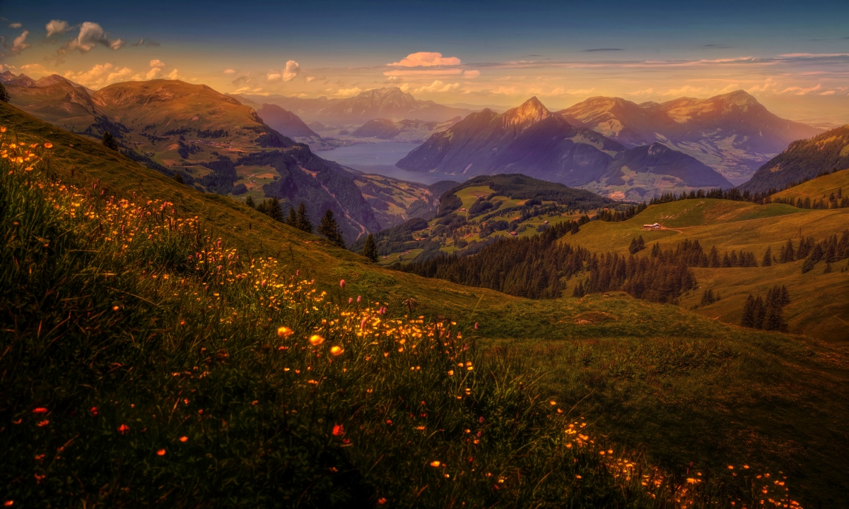 瑞士 高山 森林 田野 草地 风景4K壁纸