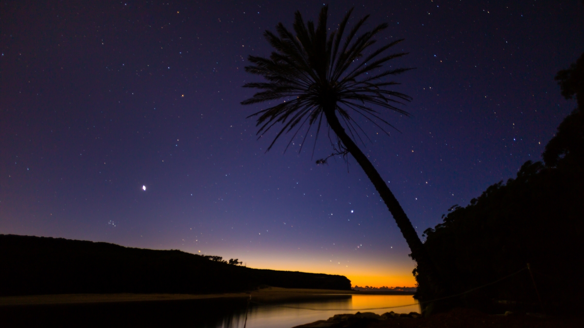 澳大利亚皇家国家公园 海滩 树和星星 4K风景壁纸
