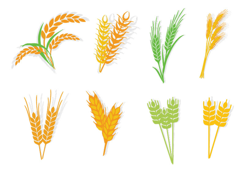 一组精美创意的麦穗稻穗图标AI素材下载