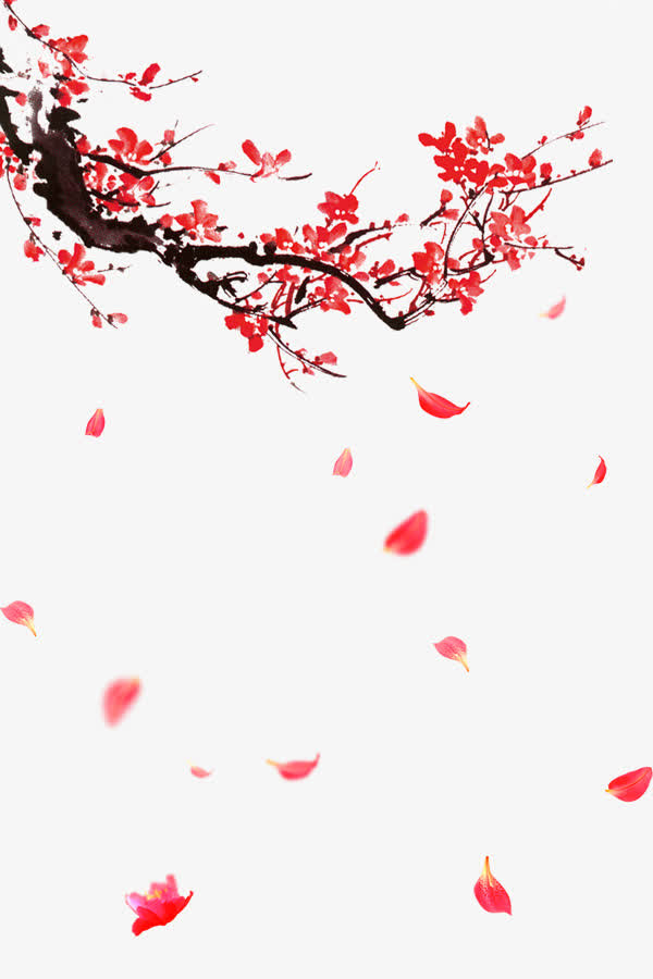 红色梅花花枝手绘插画