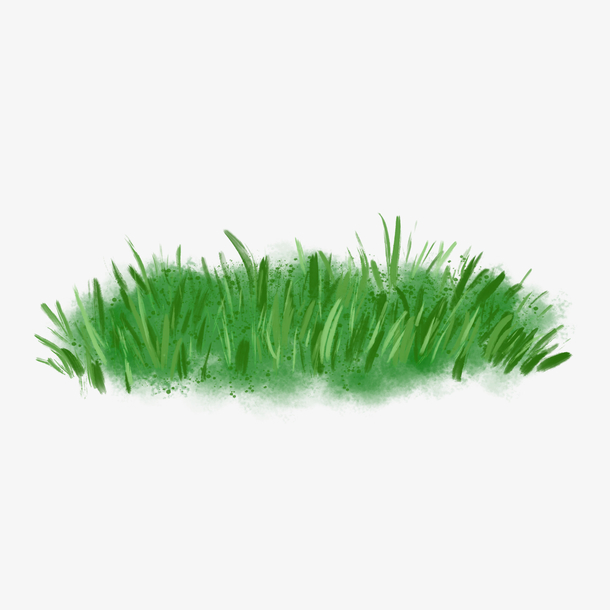 春天绿色植物小清新草丛免费下载
