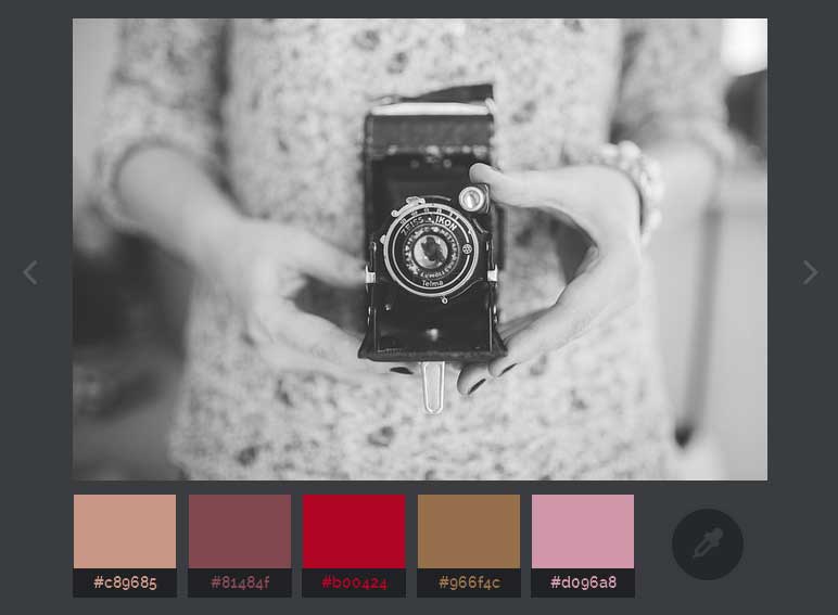 Vibrant.js相册图片颜色提取变成黑白图片效果