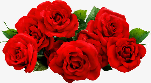 玫瑰花 一束花 红色 送礼