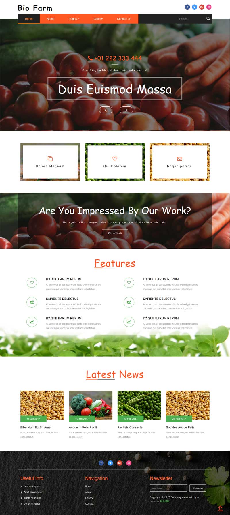 大气的有机蔬菜水果种植网站模板html下载