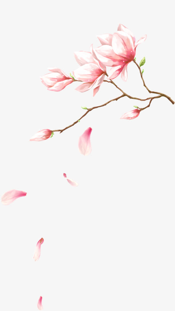 创意水彩手绘粉红色的桃花