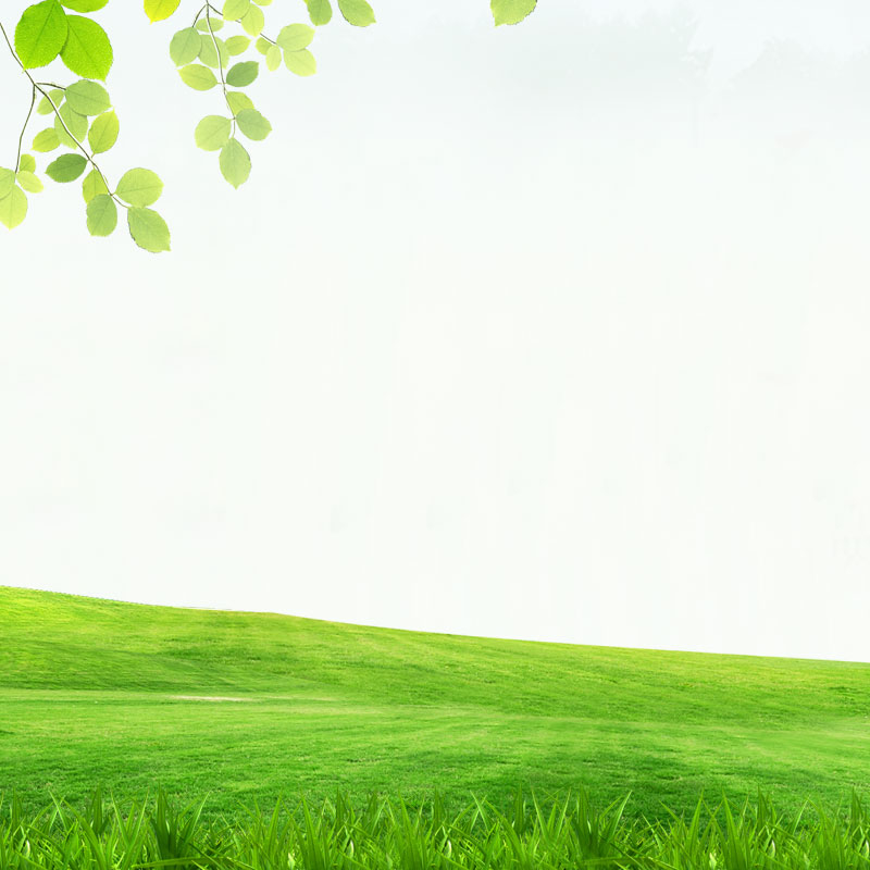 绿色清新草原背景图片 高清jpg图片psd设计素材 墨鱼部落格