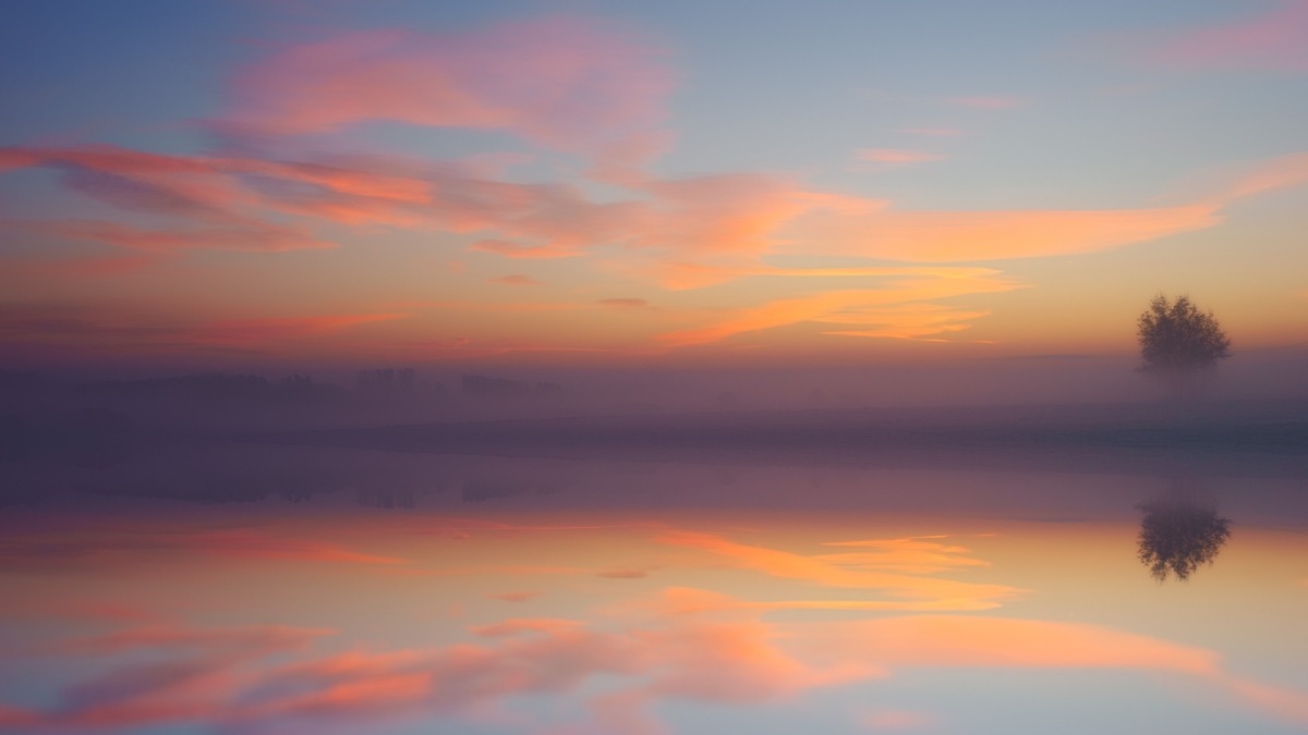 黎明 湖 天空 彩云 树6k风景壁纸