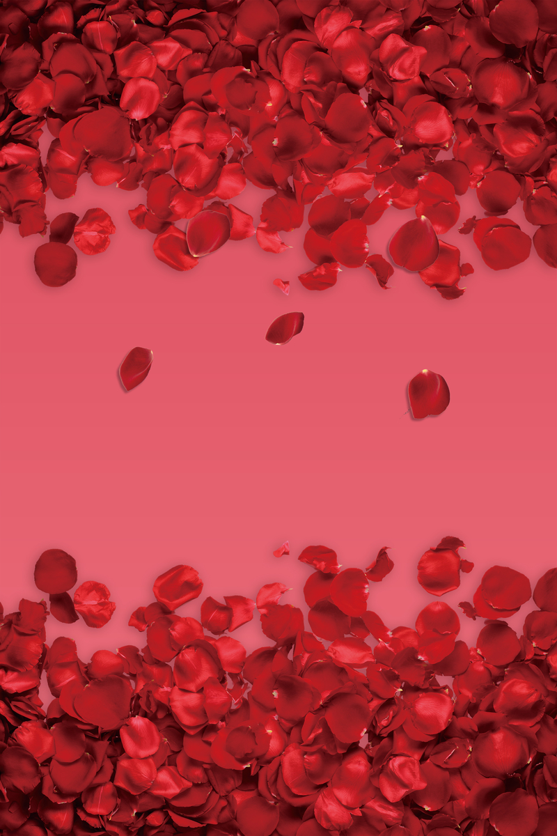 红色简约玫瑰花瓣浪漫情人节海报背景