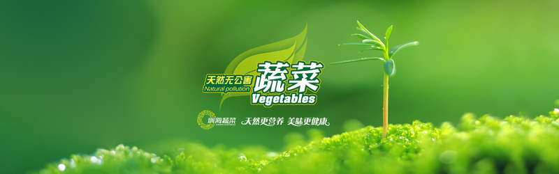 绿色有机蔬菜促销广告