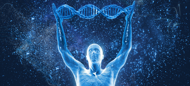 人体结构DNA背景