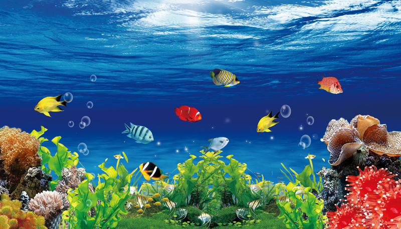 海底世界捕鱼达人海报背景素材