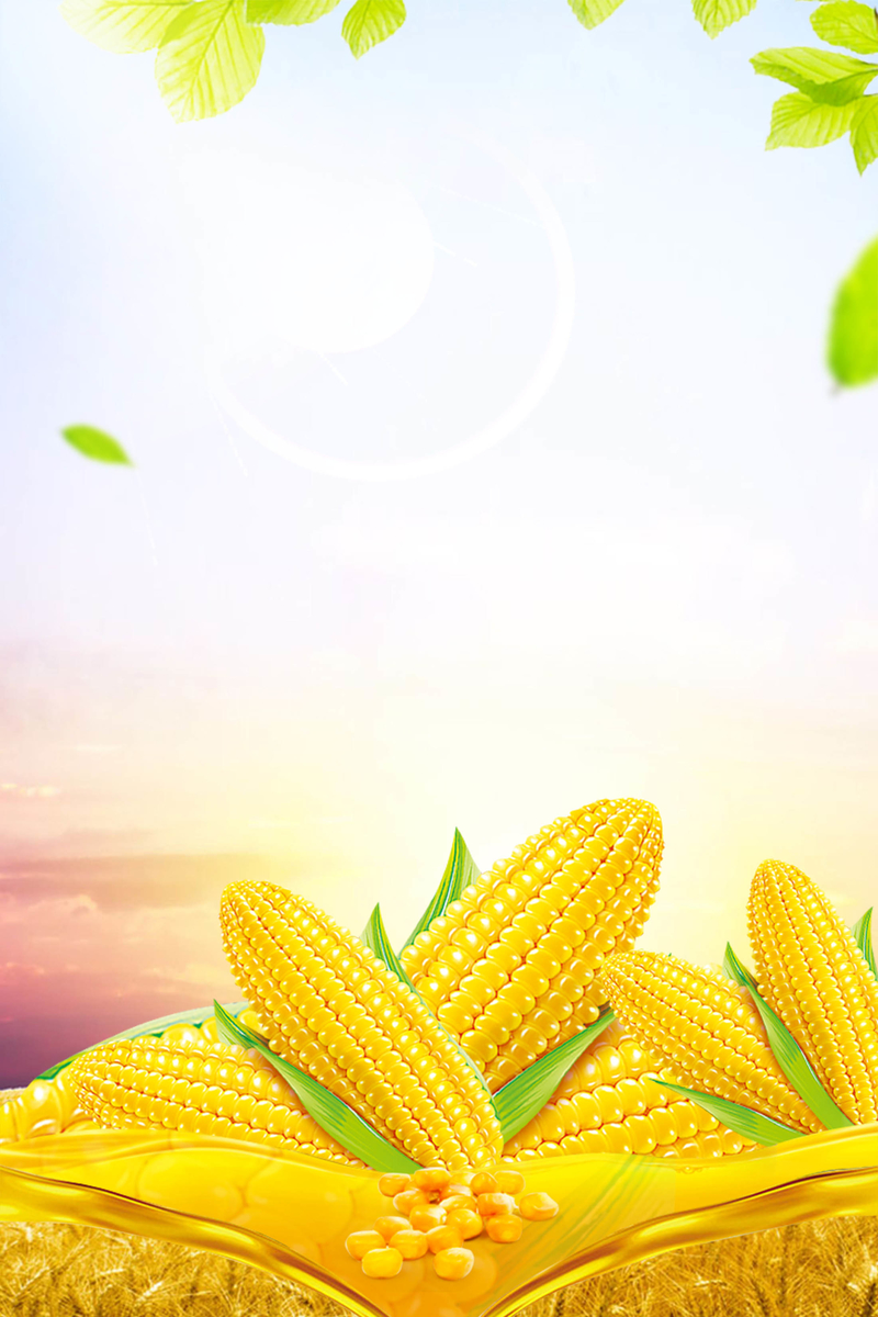 黄色玉米背景素材