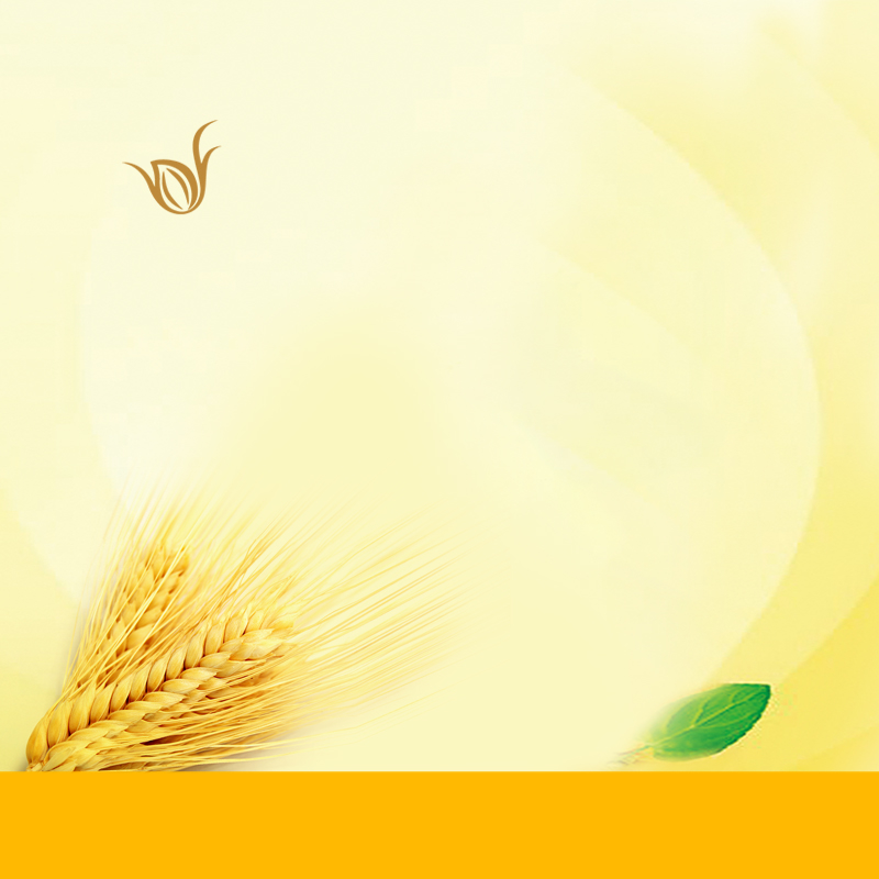 燕麦黄色食品促销PSD分层主图背景素材
