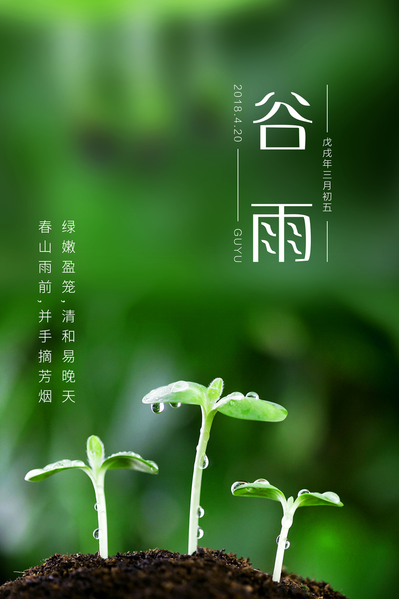 谷雨节气海报，清新小草绿意盎然，高清JPG/文艺PSD素材下载