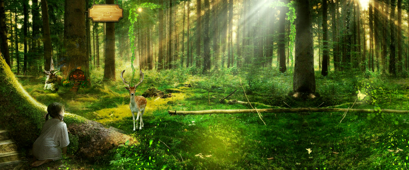 简约北欧家具森林系绿色森林海报