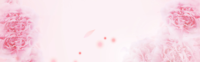 女装玫瑰banner背景图