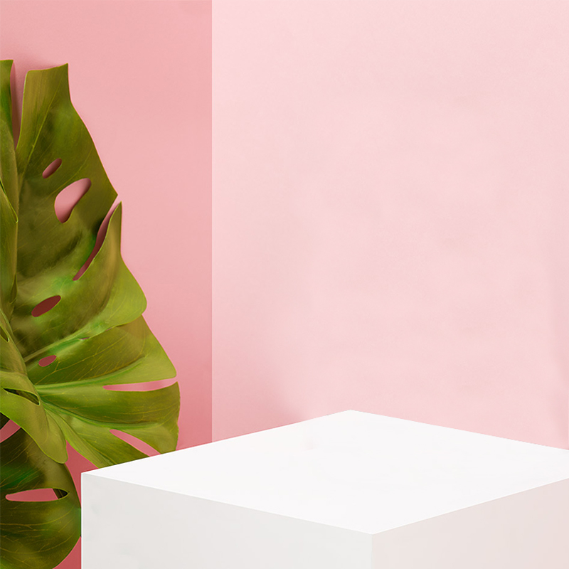 简约植物粉色服装主图背景素材