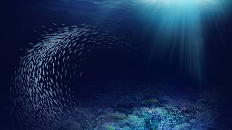 深海鱼群背景图