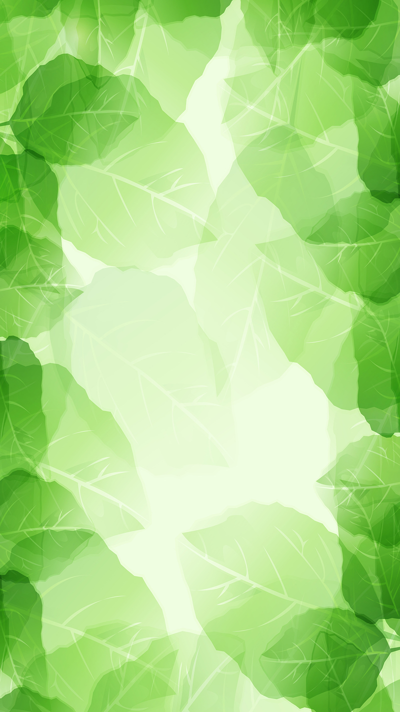 小清新绿色树叶边框H5背景素材