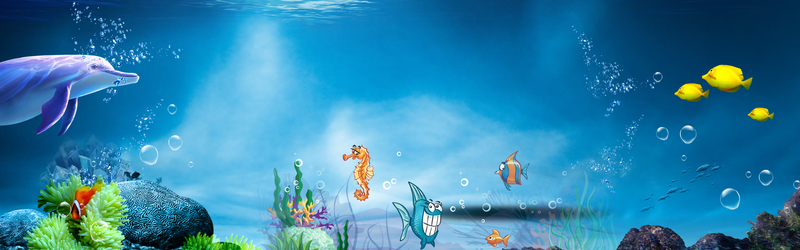 夏天游玩海洋动物世界蓝色背景
