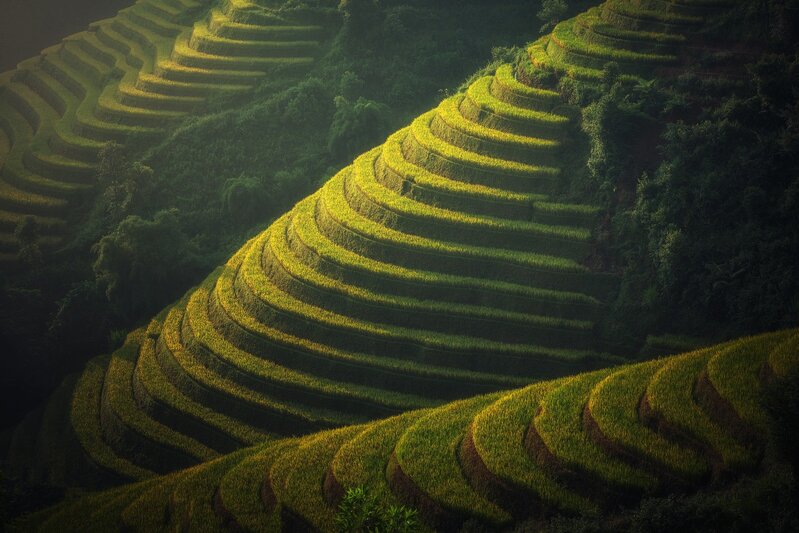 梯田农业美景，高清JPG海报素材，风景摄影图片免费下载