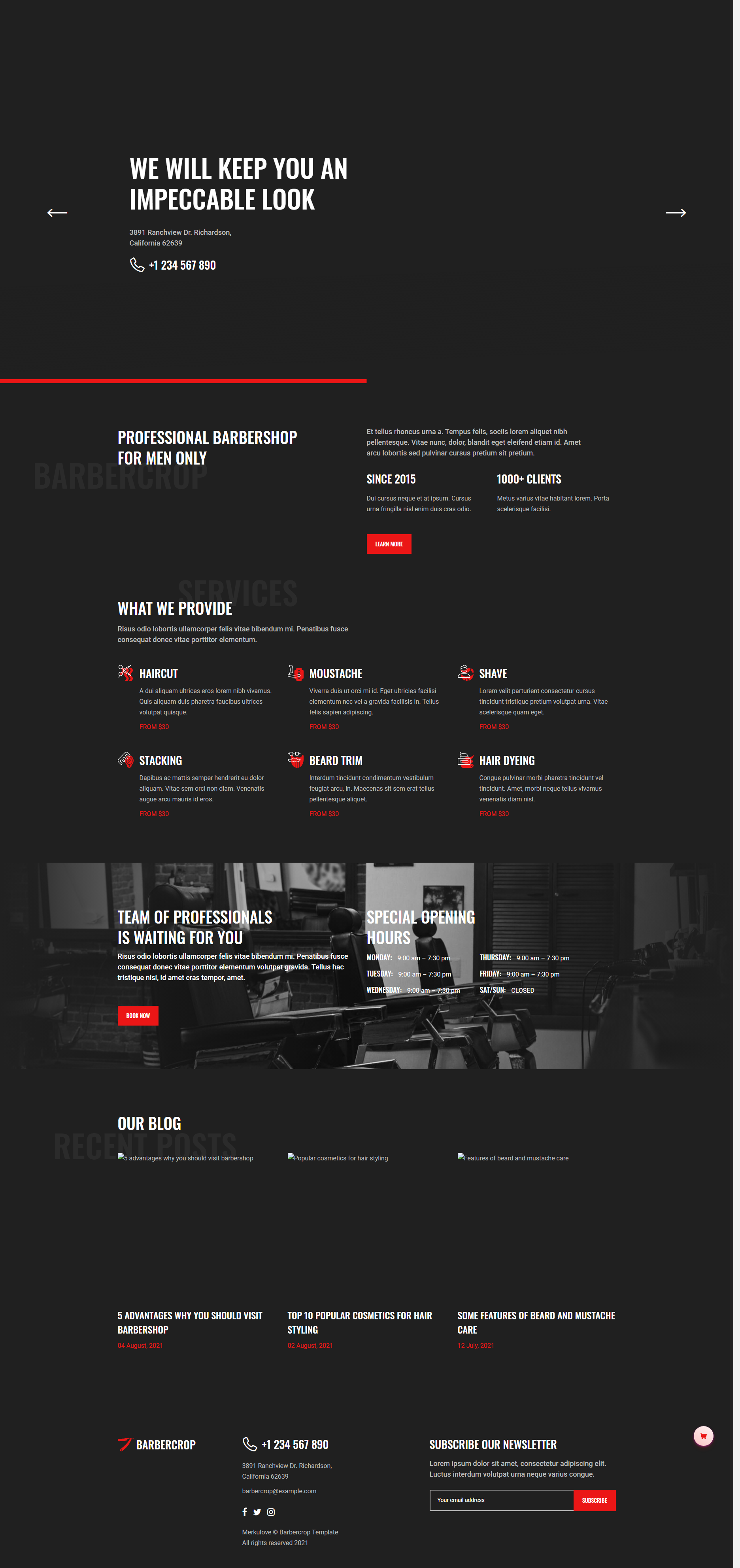 黑色潮酷发型设计理发店网站模板html