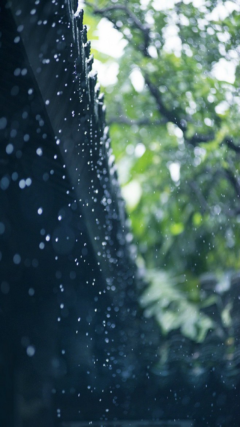 高清JPG摄影，雨天屋檐H5背景素材，唯美风景设计下载