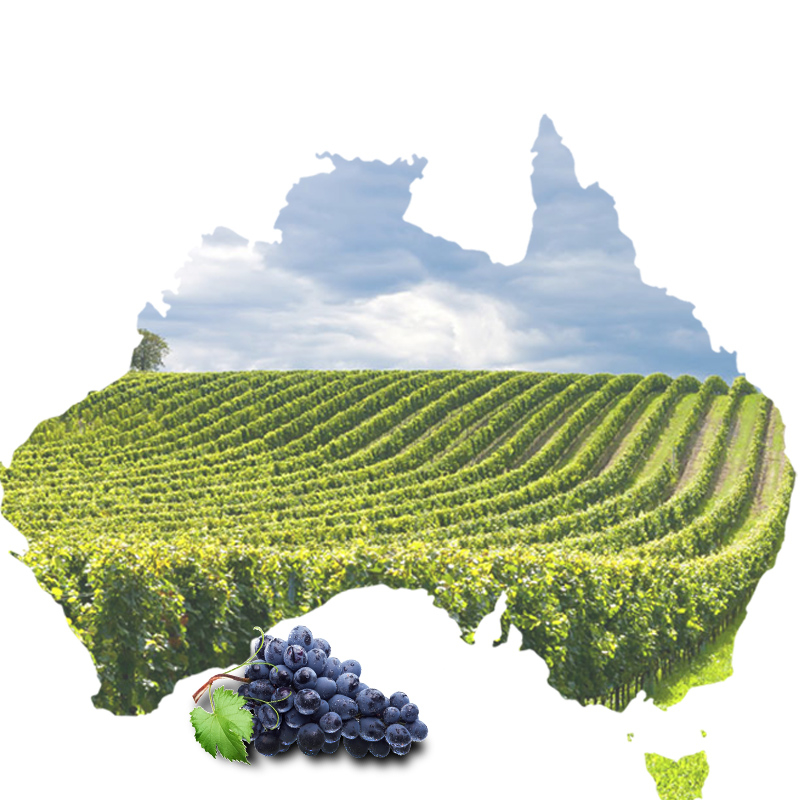 澳大利亚澳洲葡萄酒PSD分层主图背景素材