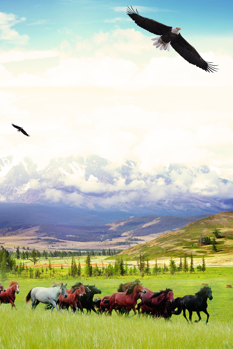 蒙古风情背景图图片