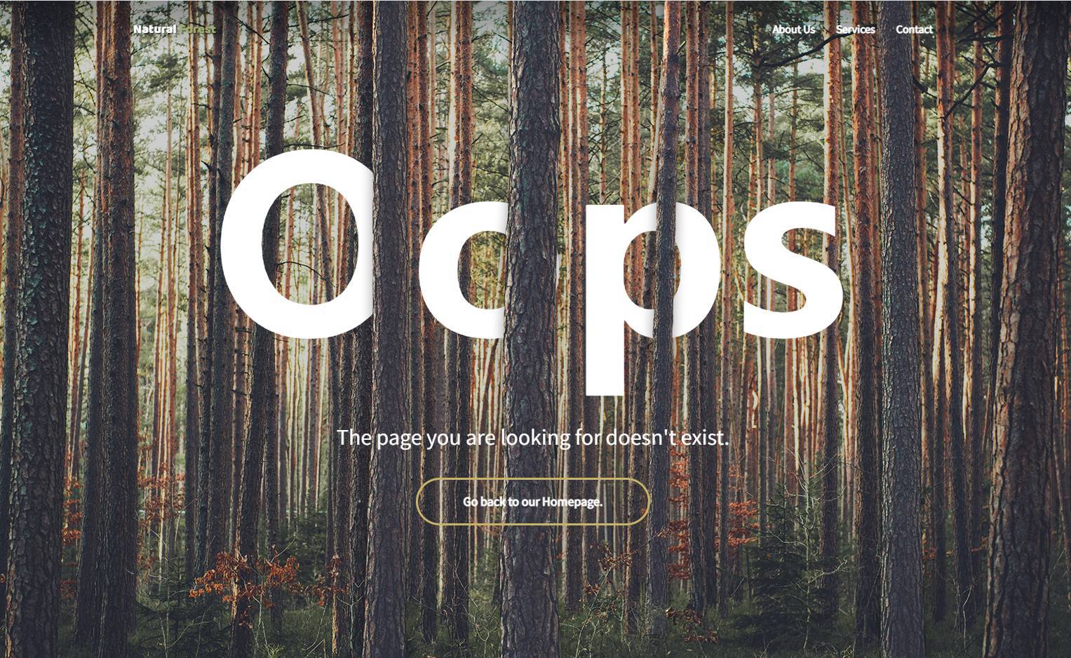 全屏天然树林404错误页面