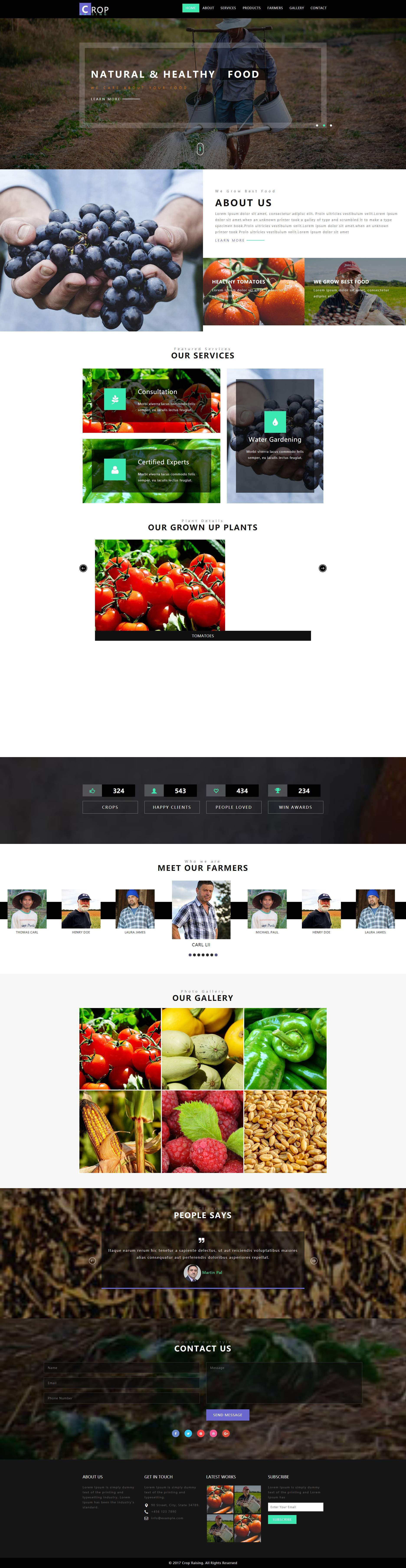 漂亮的HTML有机果蔬种植网站模板