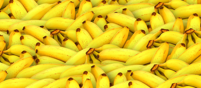 黄色香蕉摄影