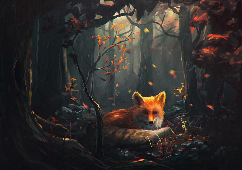 狐狸森林风景摄影平面广告