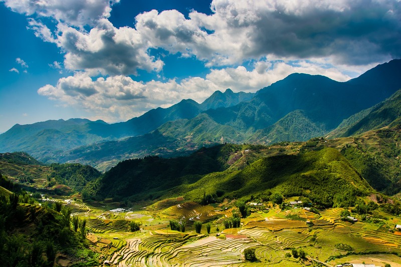 绿色梯田美景，全景高清JPG摄影素材，免费下载欣赏