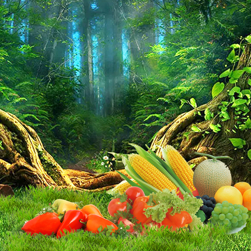 绿色森林生鲜蔬果PSD分层主图