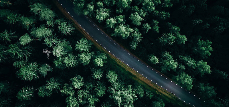 森林公路背景图
