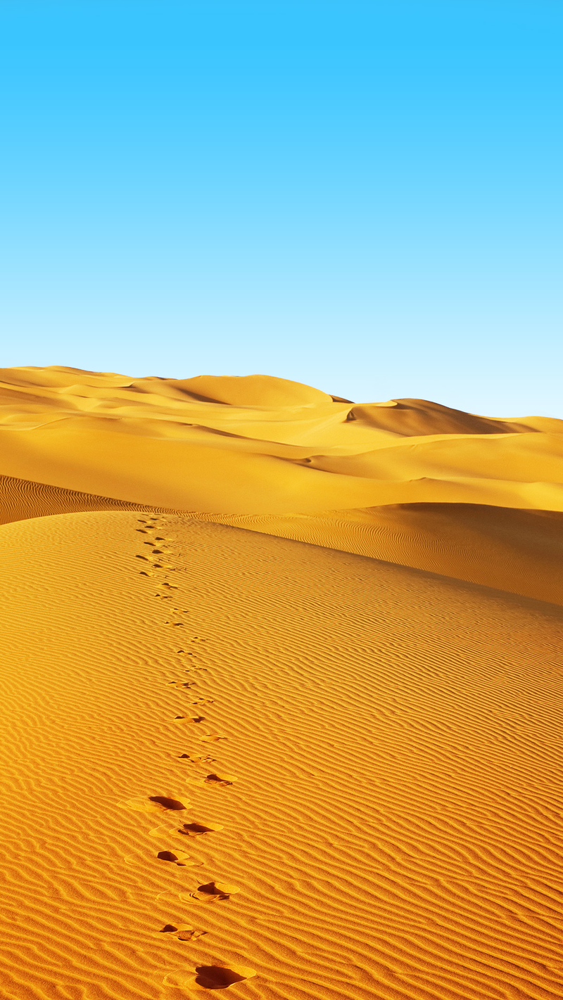 黄色沙漠H5背景素材