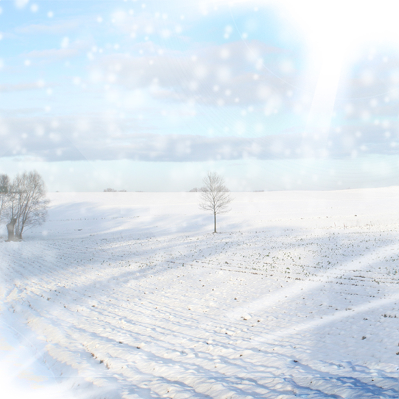 雪景背景摄影高清JPG/PSD素材，一键下载设计资源