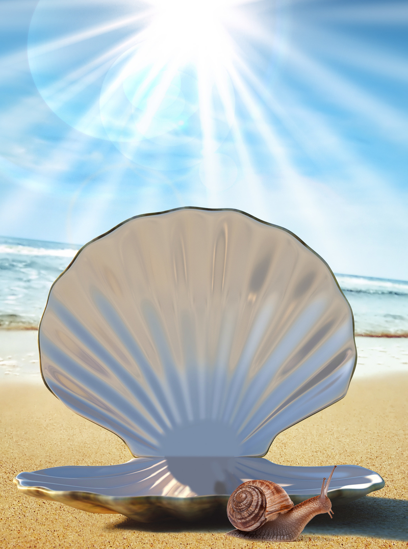 蓝天眼光光芒贝壳蜗牛海滩沙滩背景素材